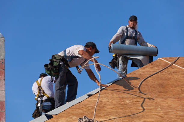 Quick and Trustworthy Emergency Roof Repair Services in Escondido, CA
